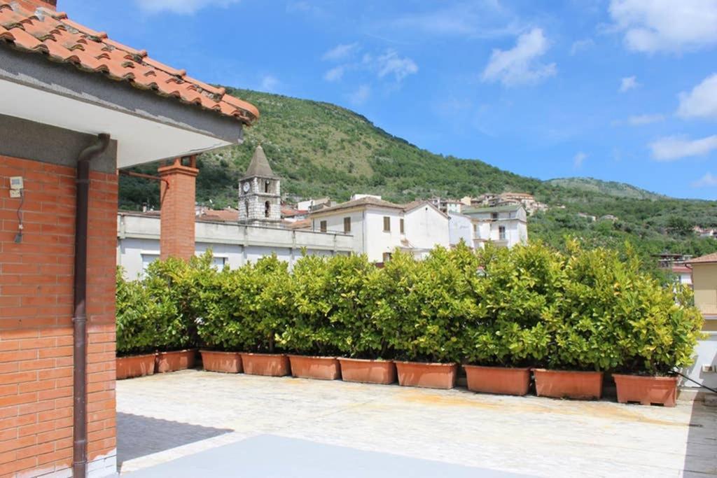 Coreno Luxury * Ausonia